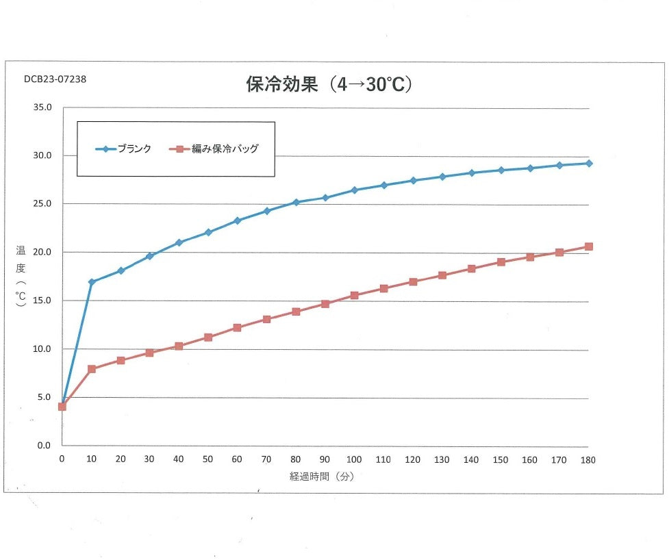 保冷温カゴバッグ